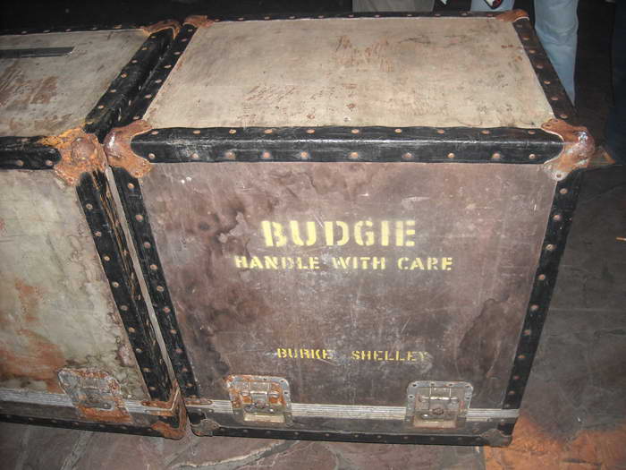 koncert BUDGIE