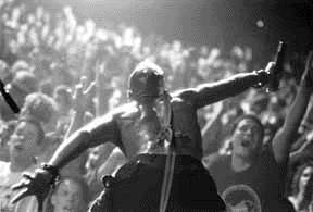 fishbone live