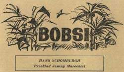 Bobsi