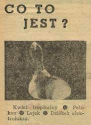 Co to jest?