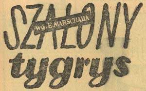 Szalony tygrys