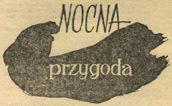 Nocna przygoda