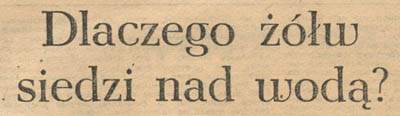 Dlaczego ż�łw siedzi nad wodą