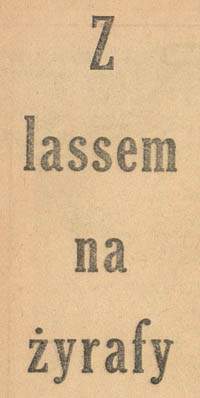 Z lassem na żyrafy