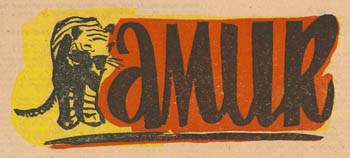 Amur