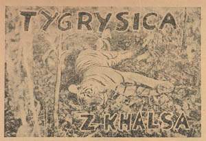 Tygrysica