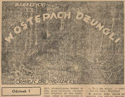 W ostępach dżungli