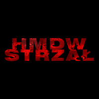 Strzał