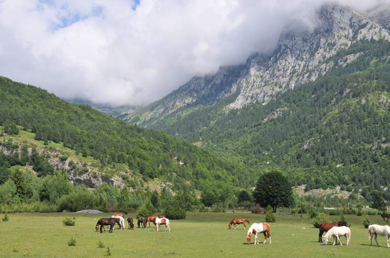 Albania 2026
