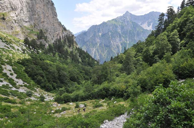 Albania 2026