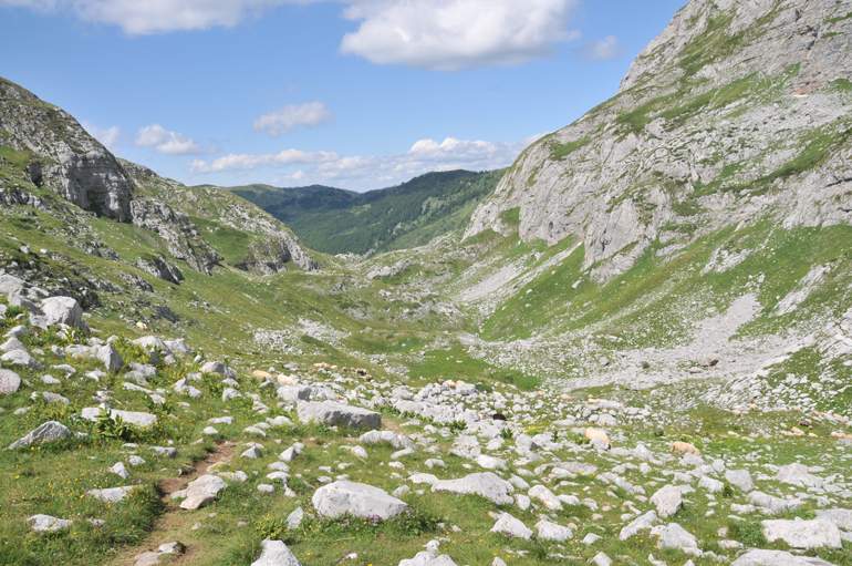 Albania 2026