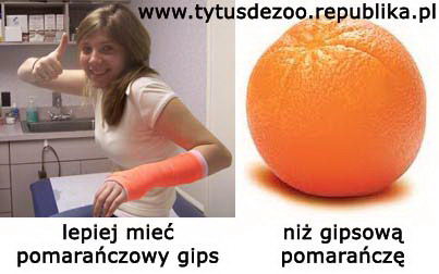 sentencja na dziś