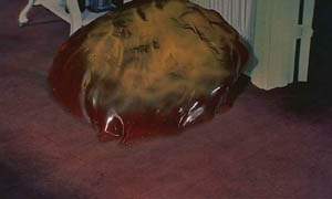The Blob