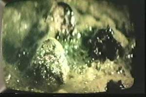 The Green Slime 