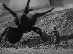 The Incredible Shrinking Man
