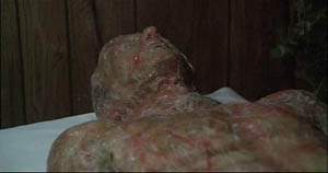 Invasion of the Body Snatchers