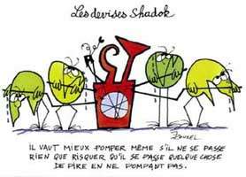 shadoki